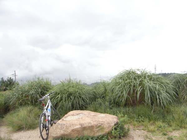 f:id:highrise:20110827155501j:image f:id:highrise:20110827155501j:image