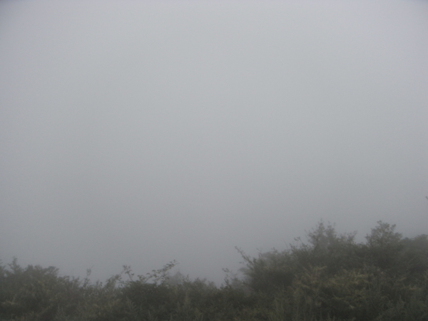 f:id:highrise:20110827161848j:image f:id:highrise:20110827161848j:image