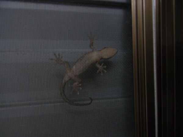 f:id:highrise:20110905005949j:image f:id:highrise:20110905005949j:image