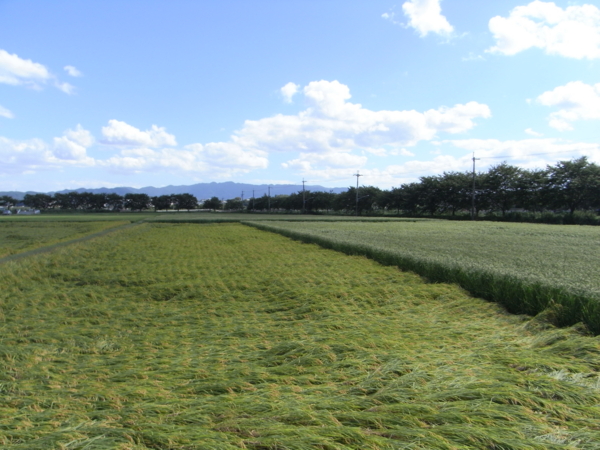 f:id:highrise:20110906141602j:image f:id:highrise:20110906141602j:image