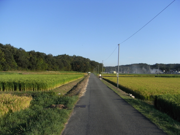 f:id:highrise:20110910172340j:image f:id:highrise:20110910172340j:image