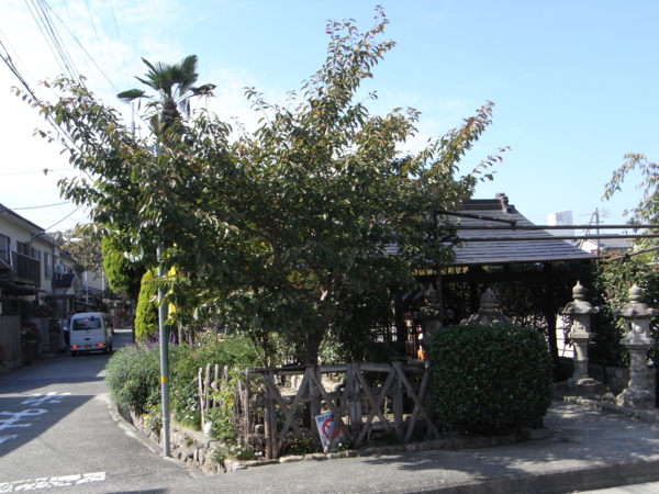 f:id:highrise:20111029120804j:image f:id:highrise:20111029120804j:image