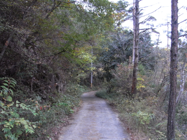 f:id:highrise:20111112134421j:image f:id:highrise:20111112134421j:image