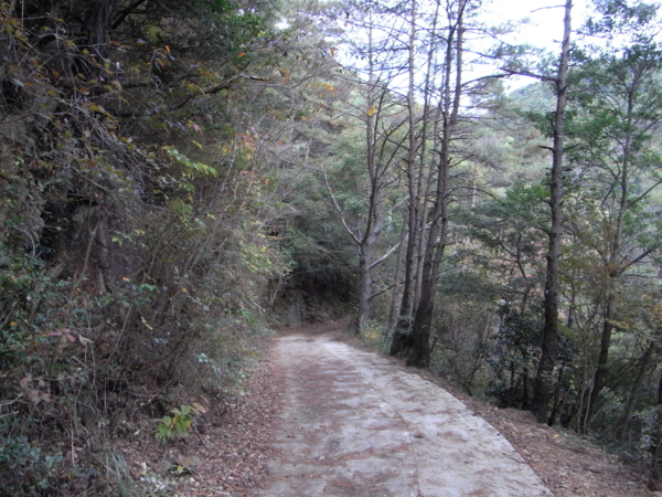 f:id:highrise:20111112134914j:image f:id:highrise:20111112134914j:image