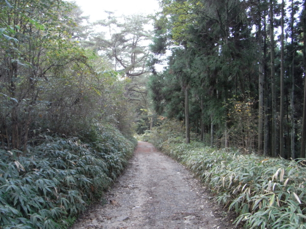 f:id:highrise:20111112135947j:image f:id:highrise:20111112135947j:image