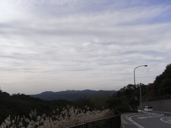 f:id:highrise:20111112145123j:image f:id:highrise:20111112145123j:image