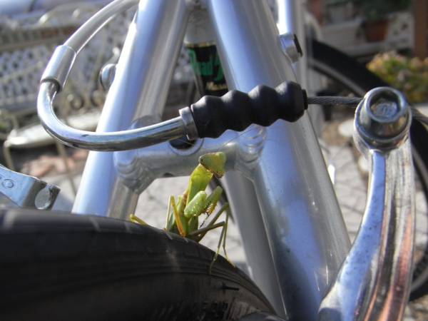 f:id:highrise:20111113142440j:image f:id:highrise:20111113142440j:image