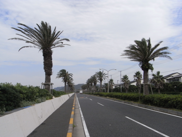 f:id:highrise:20120714140509j:image f:id:highrise:20120714140509j:image