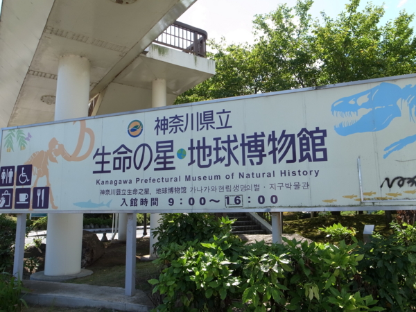 f:id:highrise:20120929115216j:image f:id:highrise:20120929115216j:image