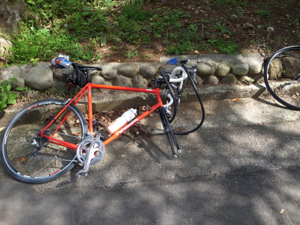 f:id:highrise:20120929131535j:image f:id:highrise:20120929131535j:image