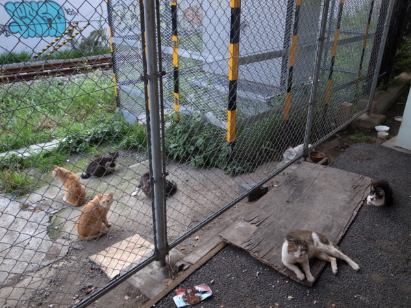 f:id:highrise:20121006162957j:image f:id:highrise:20121006162957j:image