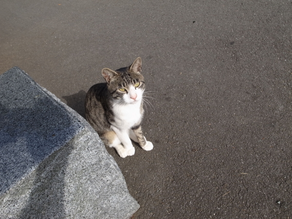 f:id:highrise:20121013141910j:image