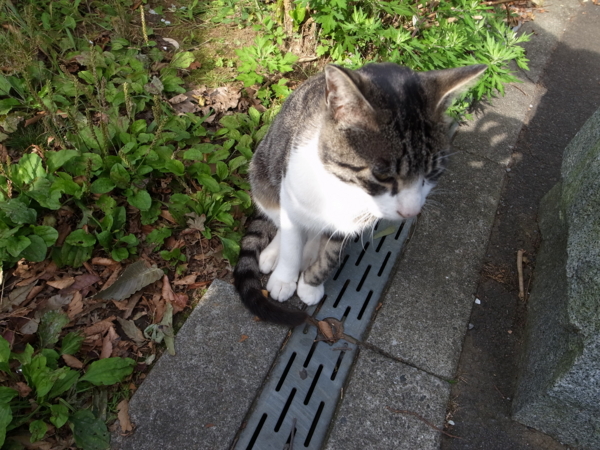 f:id:highrise:20121013143038j:image