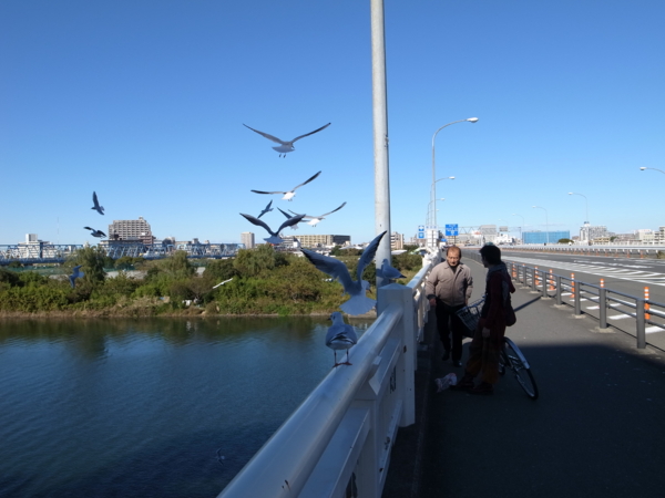 f:id:highrise:20121110130659j:image