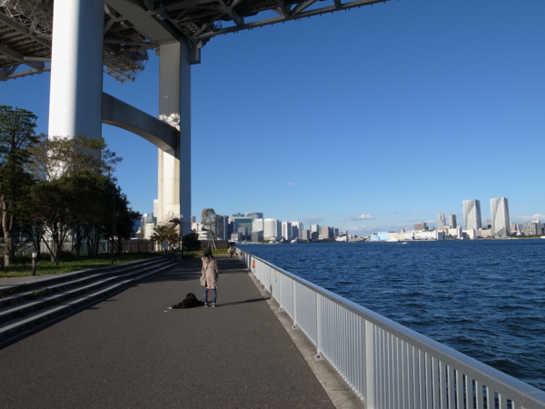 f:id:highrise:20121110142913j:image