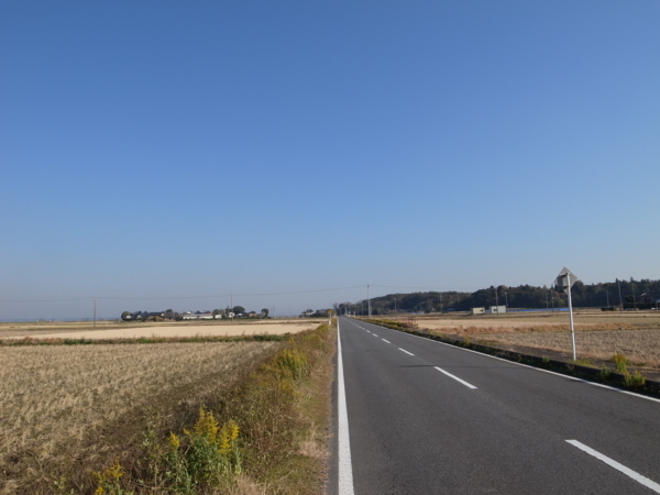 f:id:highrise:20121208123746j:image f:id:highrise:20121208123746j:image