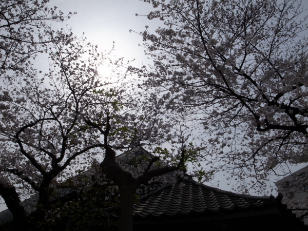 f:id:highrise:20130323101426j:image