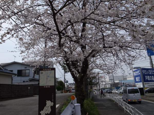 f:id:highrise:20130323104707j:image