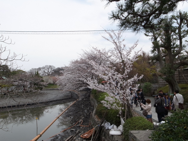 f:id:highrise:20130323114915j:image