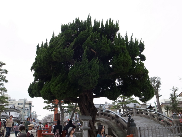 f:id:highrise:20130323115019j:image