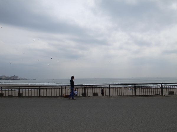 f:id:highrise:20130323125626j:image