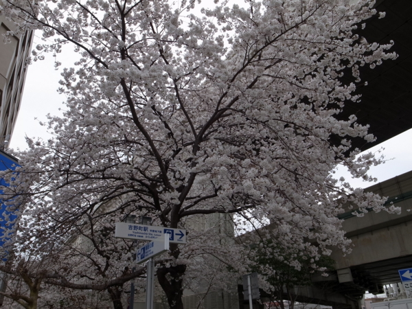 f:id:highrise:20130323141415j:image