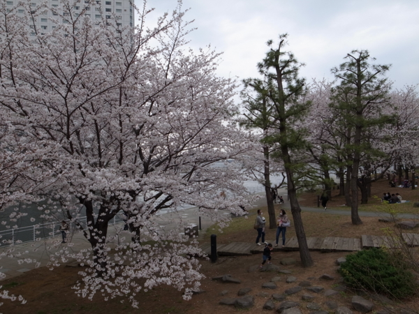 f:id:highrise:20130323143811j:image