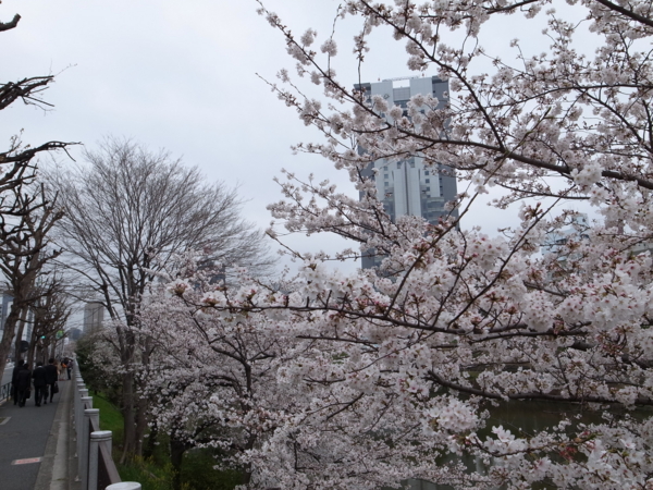 f:id:highrise:20130324090855j:image