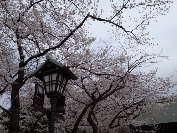 f:id:highrise:20130324122553j:image