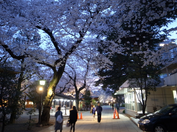 f:id:highrise:20130324180812j:image