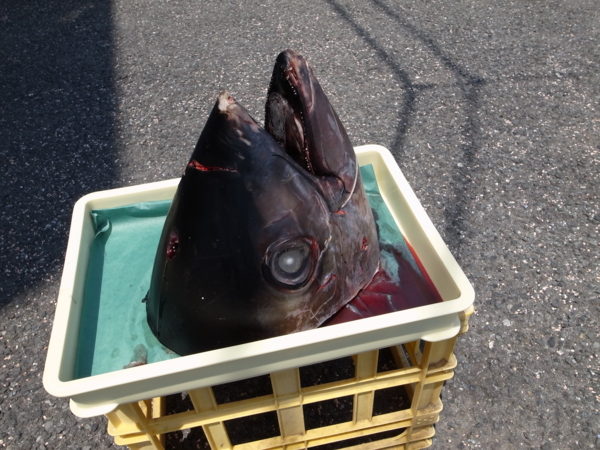 f:id:highrise:20130629130226j:image f:id:highrise:20130629130226j:image