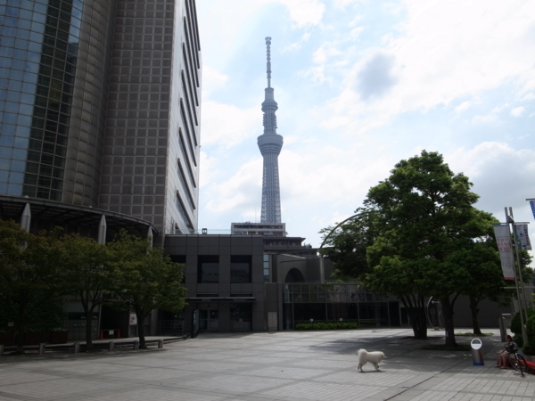 f:id:highrise:20130803091541j:image