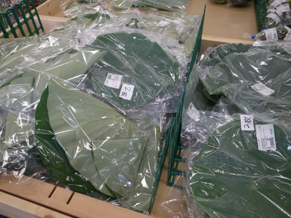 f:id:highrise:20130812140557j:image f:id:highrise:20130812140557j:image