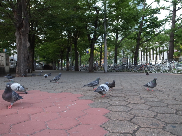 f:id:highrise:20130813174022j:image f:id:highrise:20130813174022j:image