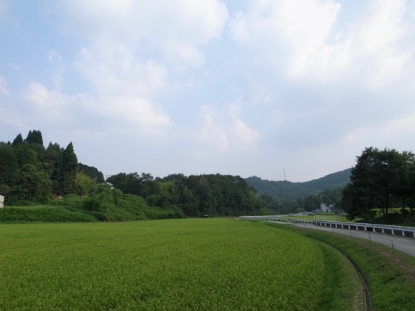 f:id:highrise:20130815155547j:image f:id:highrise:20130815155547j:image