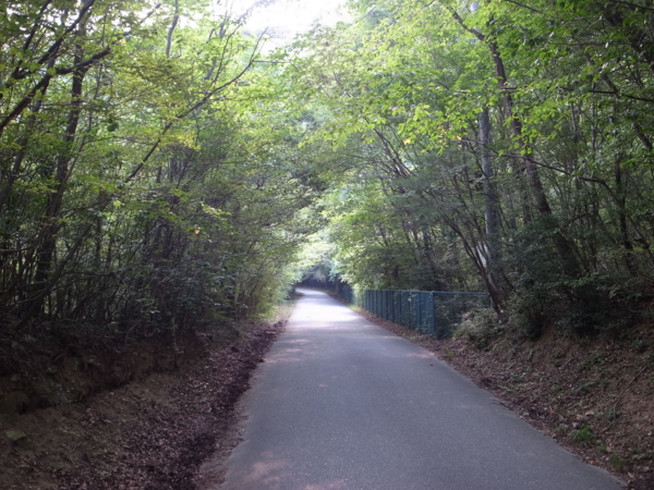 f:id:highrise:20130815160026j:image f:id:highrise:20130815160026j:image