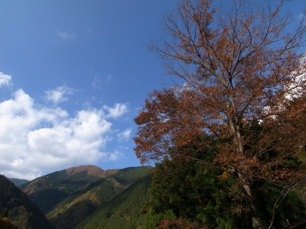 f:id:highrise:20131116125055j:image f:id:highrise:20131116125055j:image