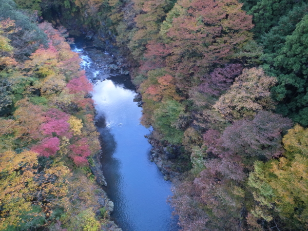 f:id:highrise:20131116125221j:image f:id:highrise:20131116125221j:image