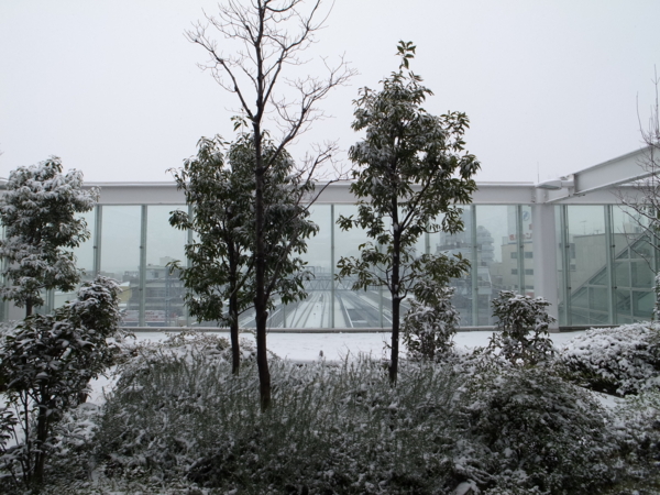 f:id:highrise:20140208102431j:image f:id:highrise:20140208102431j:image