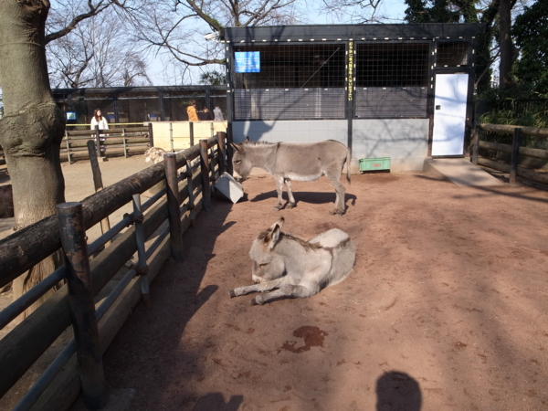 f:id:highrise:20140316145306j:image f:id:highrise:20140316145306j:image