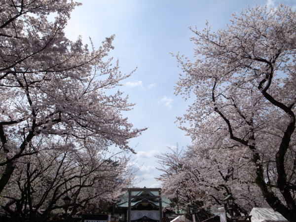 f:id:highrise:20140402123846j:image f:id:highrise:20140402123846j:image