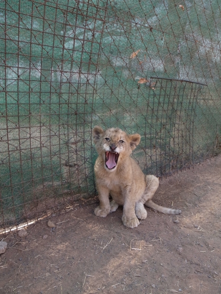 f:id:highrise:20140803114905j:image