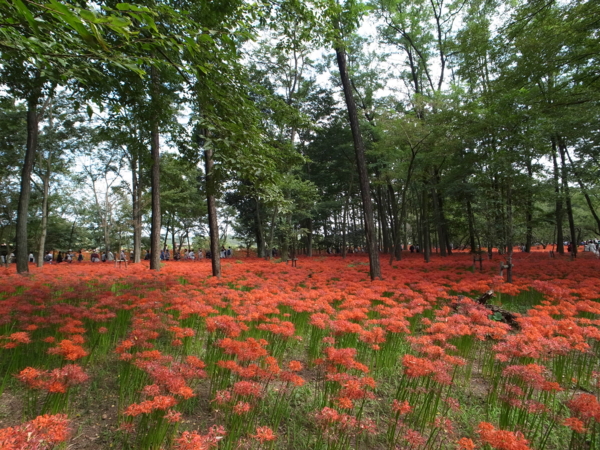 f:id:highrise:20140927101353j:image f:id:highrise:20140927101353j:image