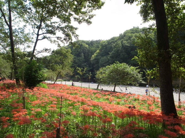 f:id:highrise:20140927101526j:image f:id:highrise:20140927101526j:image