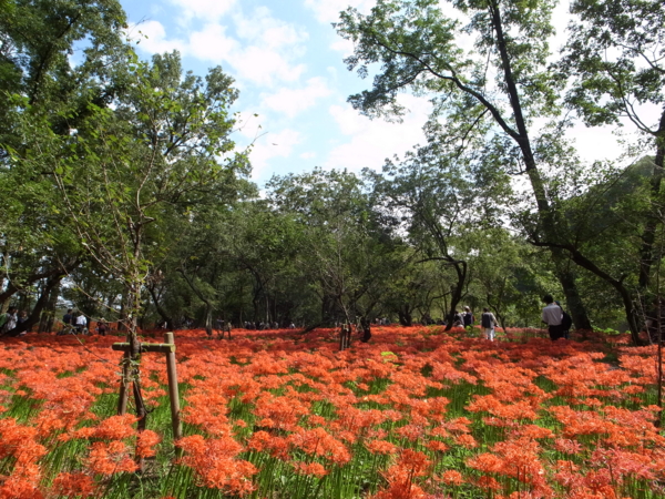 f:id:highrise:20140927101627j:image f:id:highrise:20140927101627j:image