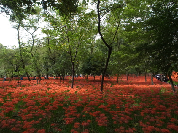 f:id:highrise:20140927104105j:image f:id:highrise:20140927104105j:image