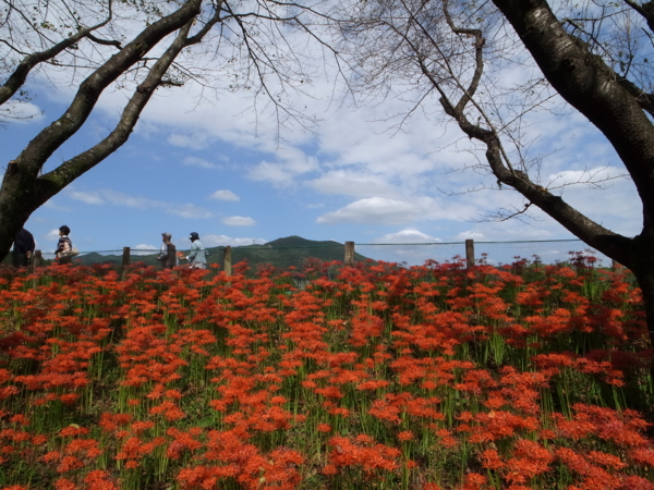 f:id:highrise:20140927104155j:image f:id:highrise:20140927104155j:image