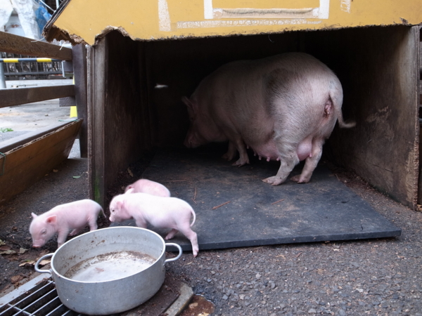 f:id:highrise:20140927132022j:image f:id:highrise:20140927132022j:image