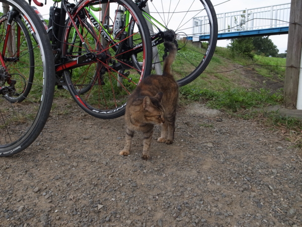 f:id:highrise:20140927132600j:image f:id:highrise:20140927132600j:image