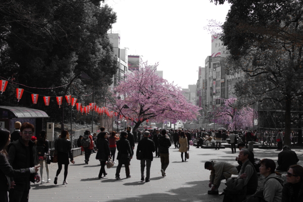 f:id:highrise:20150322130458j:image f:id:highrise:20150322130458j:image